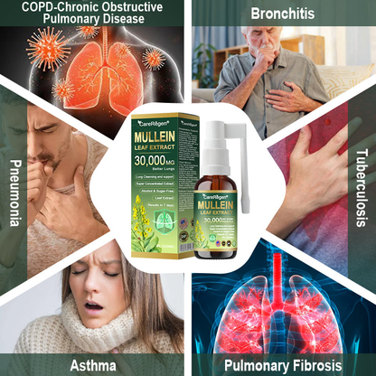 𝗢𝗳𝗳𝗶𝗰𝗶𝗮𝗹 | CareRegen® Organic Lung Cleansing Mullein Leaf Extract Spray 🌈 𝐂𝐥𝐢𝐧𝐢𝐜𝐚𝐥𝐥𝐲 𝐩𝐫𝐨𝐯𝐞𝐧, 𝐡𝐢𝐠𝐡𝐥𝐲 𝐜𝐨𝐧𝐜𝐞𝐧𝐭𝐫𝐚𝐭𝐞𝐝 𝐟𝐨𝐫𝐦𝐮𝐥𝐚 𝐭𝐡𝐚𝐭 𝐫𝐞𝐥𝐢𝐞𝐯𝐞𝐬 𝐜𝐨𝐮𝐠𝐡, 𝐩𝐡𝐥𝐞𝐠𝐦, 𝐚𝐬𝐭𝐡𝐦𝐚 & 𝐂𝐎𝐏𝐃 — 𝐛𝐫𝐞𝐚𝐭𝐡𝐞 𝐞𝐚𝐬𝐢𝐞𝐫, 𝐟𝐚𝐬𝐭𝐞𝐫.🌈🌼
