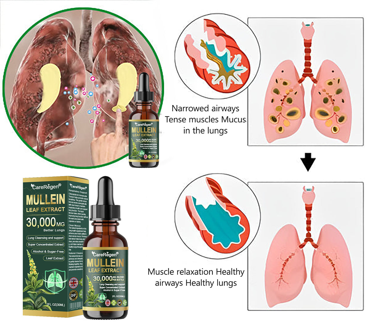 𝗢𝗳𝗳𝗶𝗰𝗶𝗮𝗹 𝗦𝘁𝗼𝗿𝗲:CareRegen®🫁💧 𝗢𝗿𝗴𝗮𝗻𝗶𝗰 𝗟𝘂𝗻𝗴 𝗖𝗹𝗲𝗮𝗻𝘀𝗶𝗻𝗴 𝗠𝘂𝗹𝗹𝗲𝗶𝗻 𝗟𝗲𝗮𝗳 𝗘𝘅𝘁𝗿𝗮𝗰𝘁 𝗗𝗿𝗼𝗽𝘀  𝐂𝐥𝐢𝐧𝐢𝐜𝐚𝐥𝐥𝐲 𝐩𝐫𝐨𝐯𝐞𝐧, 𝐡𝐢𝐠𝐡𝐥𝐲 𝐜𝐨𝐧𝐜𝐞𝐧𝐭𝐫𝐚𝐭𝐞𝐝 𝐟𝐨𝐫𝐦𝐮𝐥𝐚 𝐭𝐡𝐚𝐭 𝐫𝐞𝐥𝐢𝐞𝐯𝐞𝐬 𝐜𝐨𝐮𝐠𝐡, 𝐩𝐡𝐥𝐞𝐠𝐦, 𝐚𝐬𝐭𝐡𝐦𝐚 & 𝐂𝐎𝐏𝐃 — 𝐛𝐫𝐞𝐚𝐭𝐡𝐞 𝐞𝐚𝐬𝐢𝐞𝐫, 𝐟𝐚𝐬𝐭𝐞𝐫. 🌥️🪶
